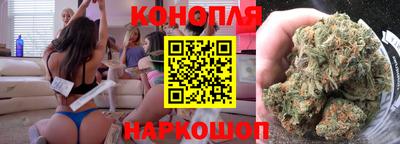 соль ск Новозыбков