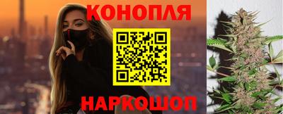 соль ск Новозыбков