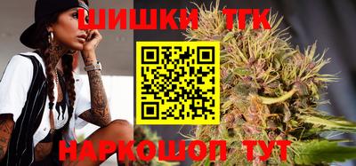 соль ск Новозыбков
