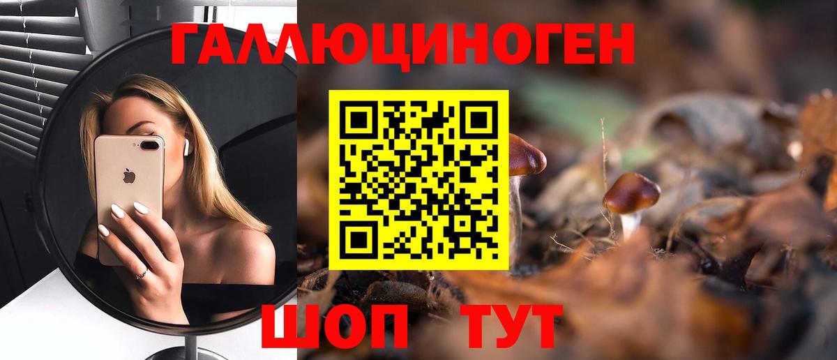 Псилоцибиновые грибы GOLDEN TEACHER  Вход с VPN  Сыктывкар  Псилоцибиновые грибы Cubensis 